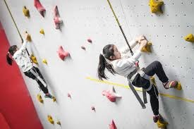 东契奇：我曾和杨互换顺位，若他对新旅程兴奋我也为他高兴