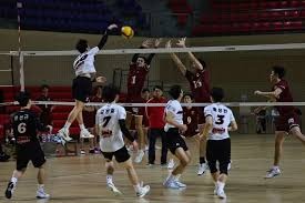 《洛奇英雄传》新战役“丰饶之森”正式开战