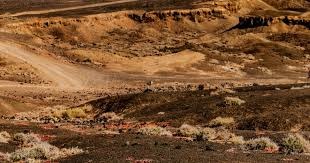 篮球冠军联赛东亚区｜首仗火并桃园领航猿 金群利严峻考验